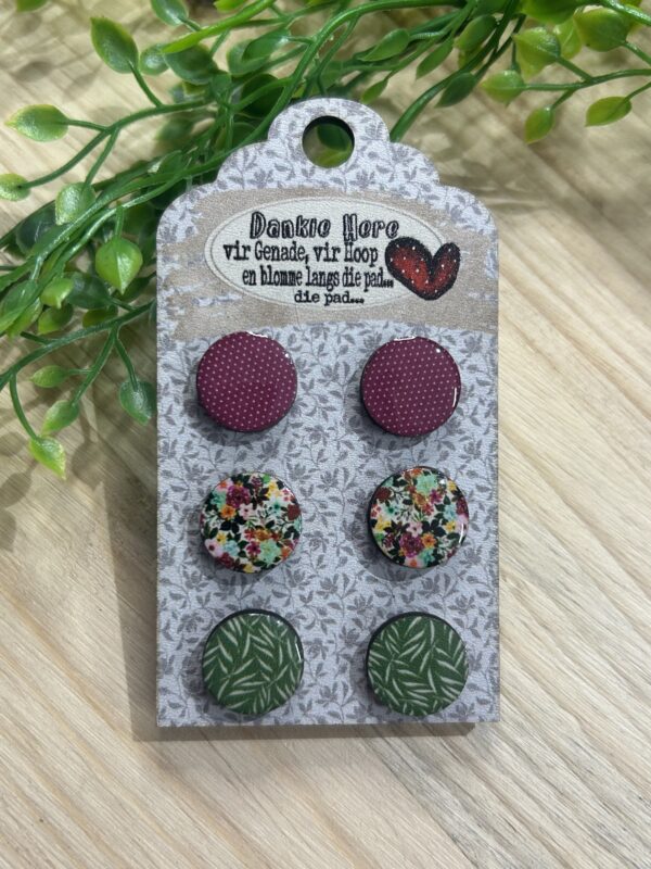 Stud Earring Combo