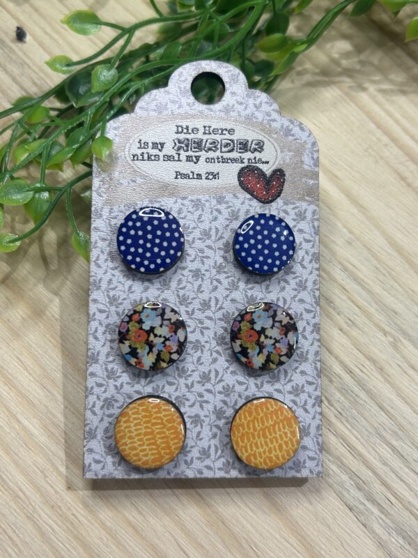 Stud Earring Combo