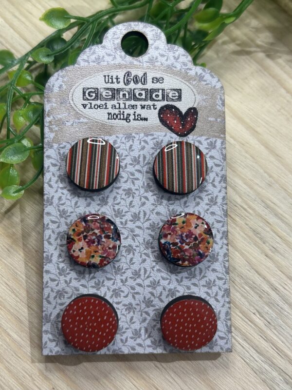 Stud Earring Combo