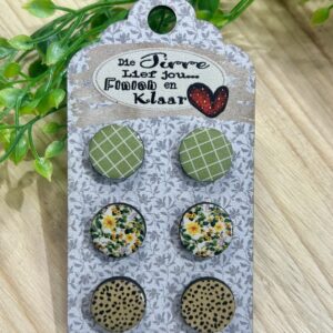 Stud Earring Combo