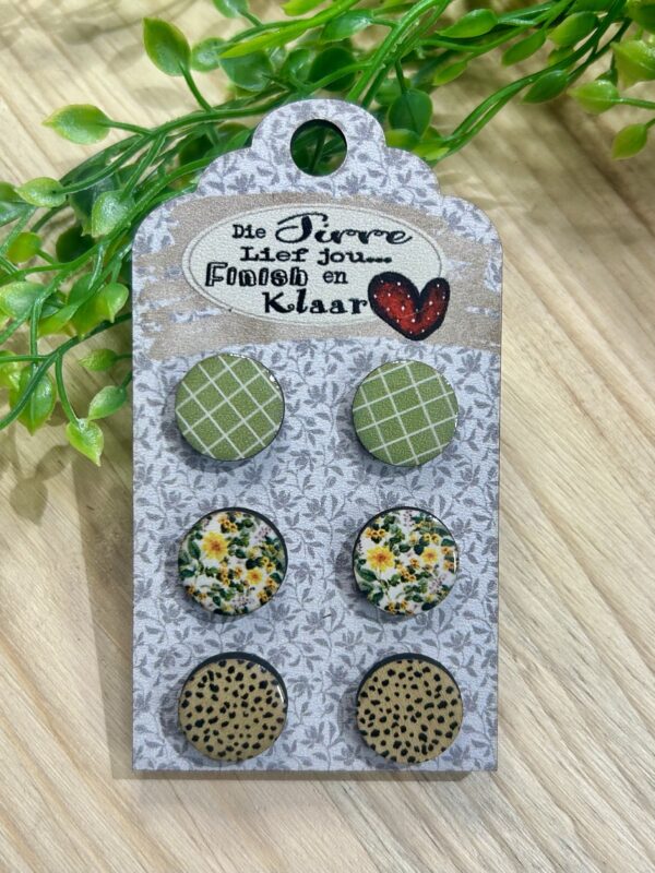 Stud Earring Combo