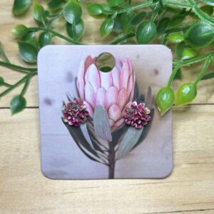 Multi Color Stud Earrings