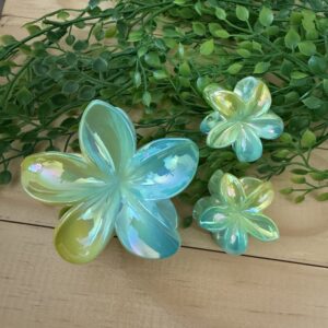 Green And Blue Claw Clip Set