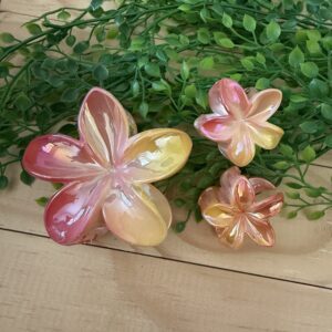 Pink And Orange Claw Clip Set