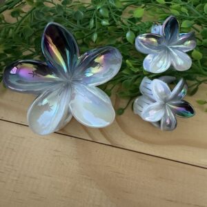 Black And White Claw Clip Set