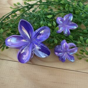 Purple Claw Clip Set