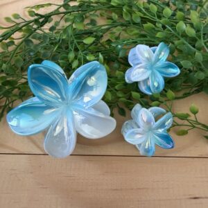 Blue And White Claw Clip Set