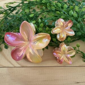 Pink And Orange Claw Clip Set