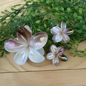 Blown And White Claw Clip Set