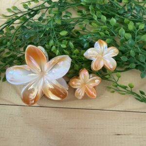 Orange And White Claw Clip Set