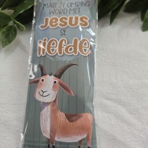 Verrassing Pakkie Jesus