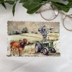 Farm Bril Lappies