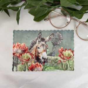 Donkey Bril Lappie