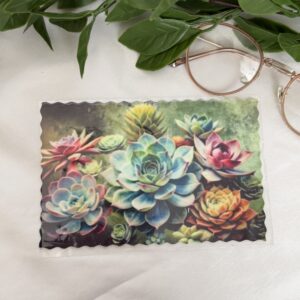 Succulent Bril Lappie