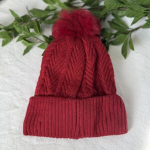 Red Winter Beanie