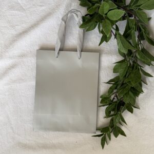 Silver Gift Bag