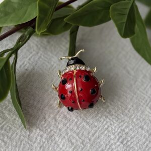 Lady Bug Brooch