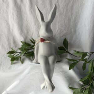 Albert The Sitting Bunny