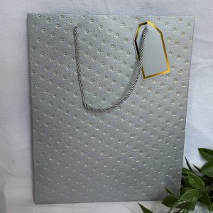 Large Silver And Gold Gift Bag