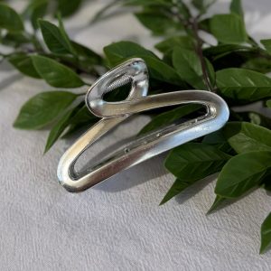 Silver Claw Clip