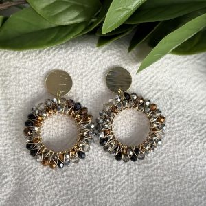 Multi Colour Circle Earrings