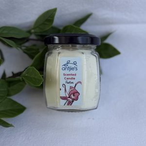 Scented Candle - Festive