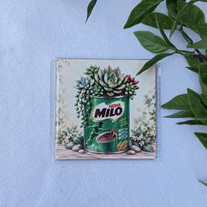 Milo Coaster