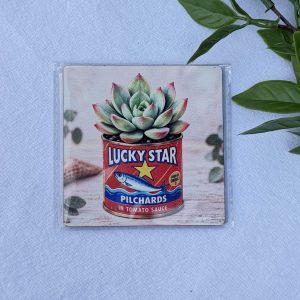 Lucky Star Coaster
