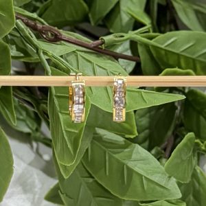 Gold Hoop Earrings