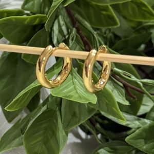 Chunky Hoop Earrings