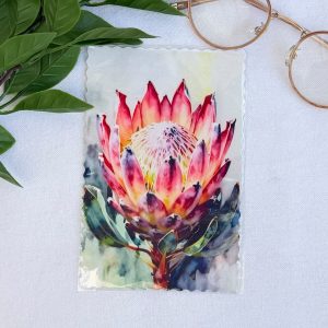 Protea Bril Lappie