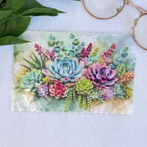 Succulent Bril Lappie