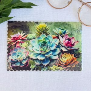 Succulent Bril Lappie