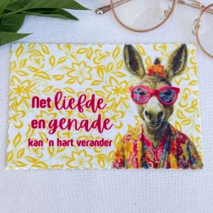 Donkey Bril Lappie