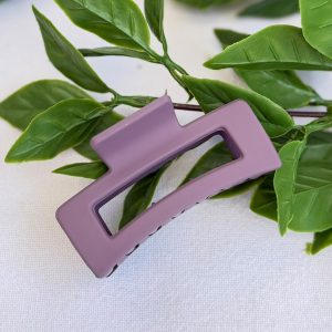 Small 6cm Claw Clip